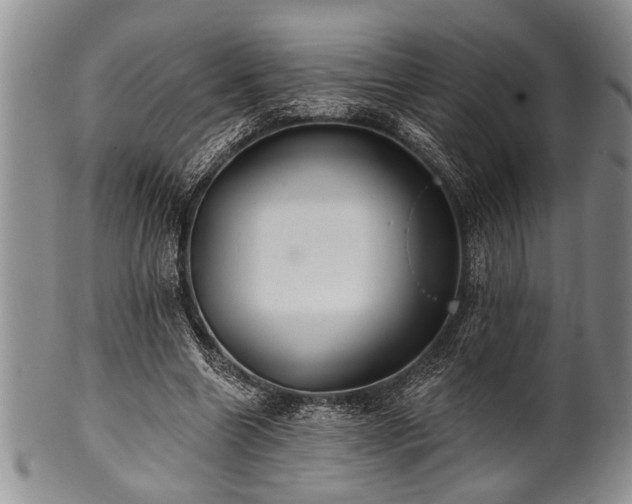 X0000100780538200806261631