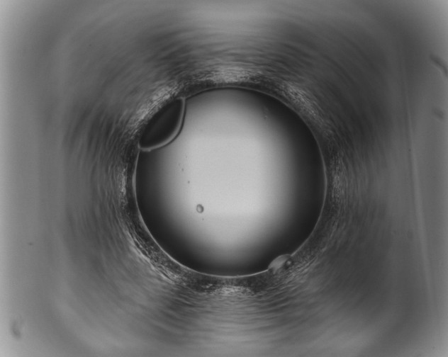 X0000100780539200806261631