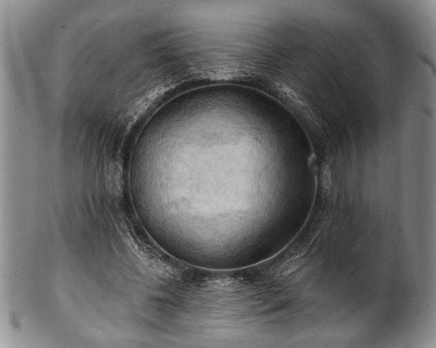 X0000100780540200806261631