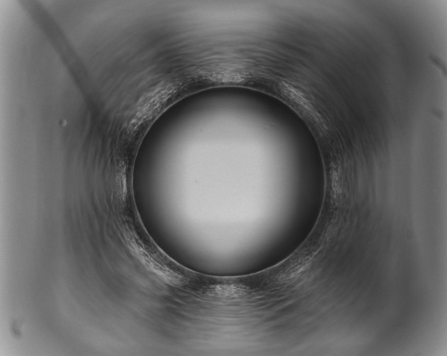 X0000100780541200806261631