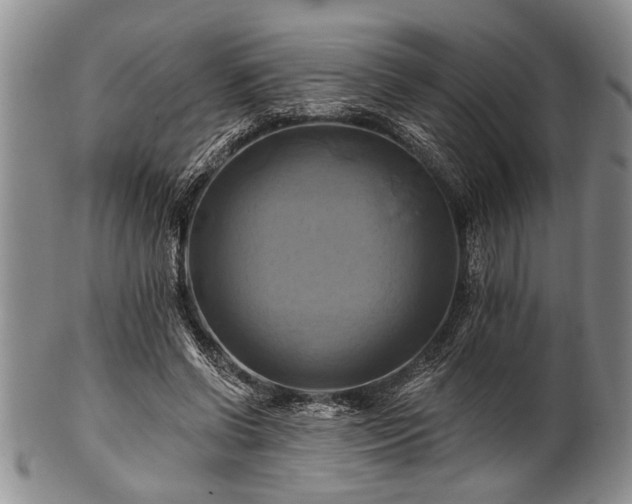 X0000100780542200806261631