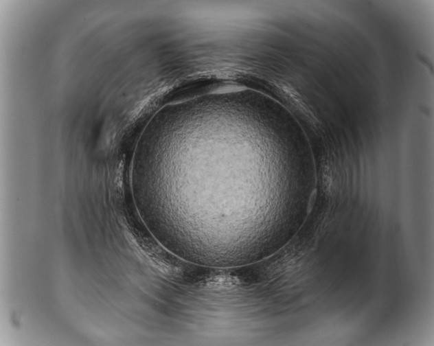 X0000100780543200806261631