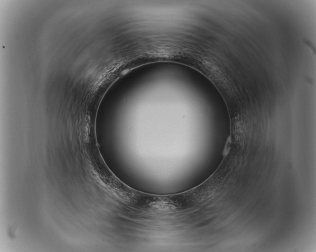 X0000100780544200806261631