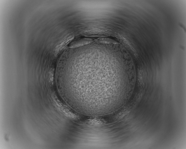 X0000100780545200806261631