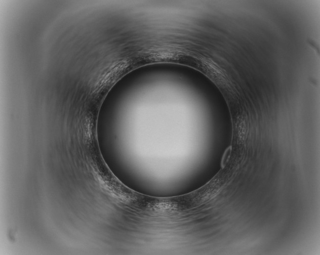 X0000100780546200806261631