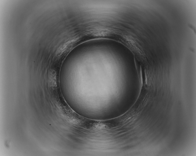 X0000100780547200806261631