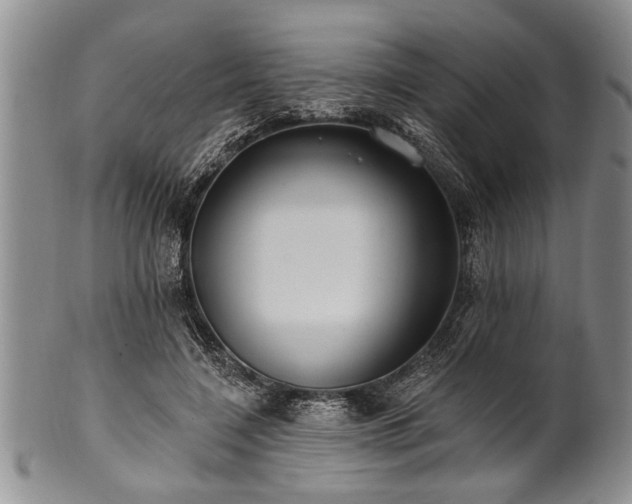 X0000100780548200806261631