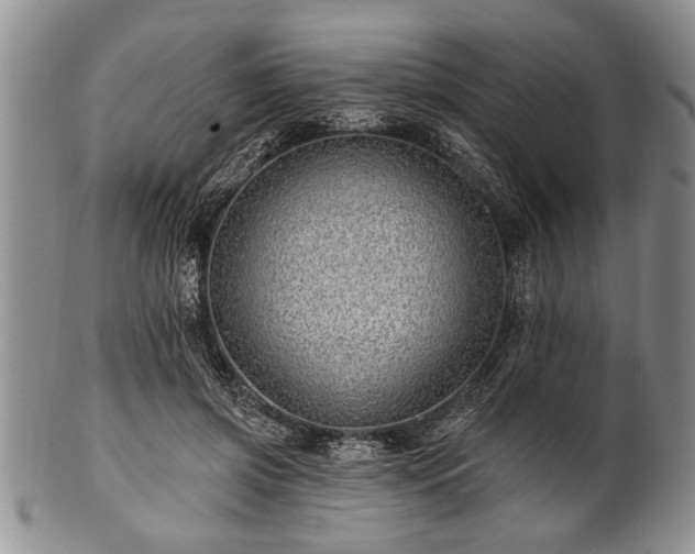 X0000100780549200806261631