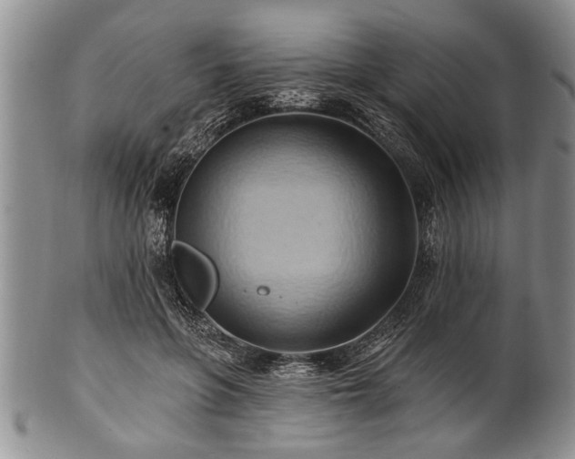 X0000100780551200806261631