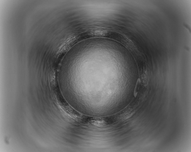 X0000100780552200806261631