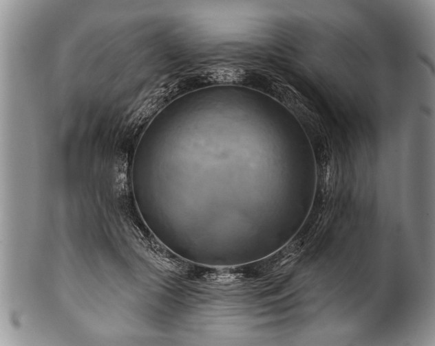 X0000100780553200806261631