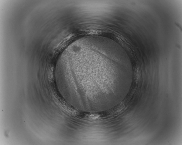 X0000100780554200806261631