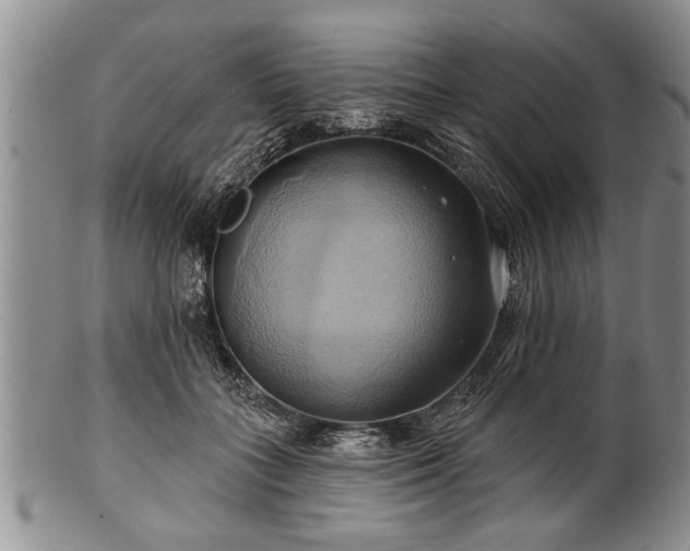 X0000100780555200806261631