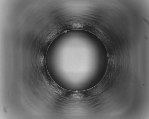 X0000100780556200806261631