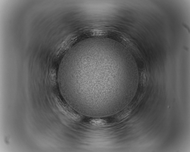 X0000100780557200806261631