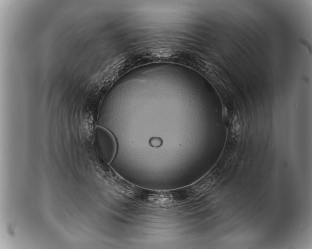 X0000100780559200806261632