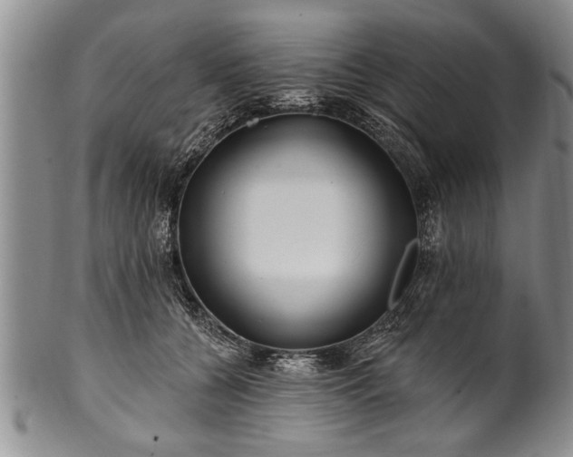 X0000100780560200806261632