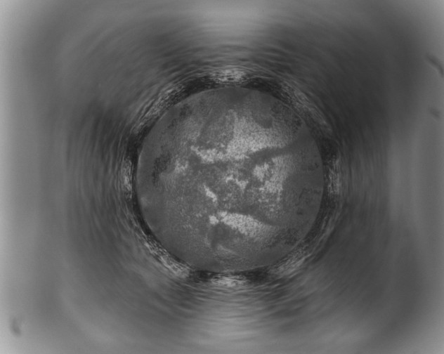 X0000100780561200806261632