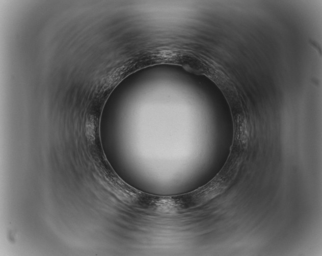 X0000100780562200806261632