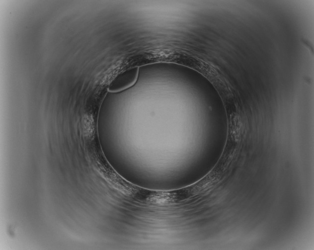 X0000100780563200806261632