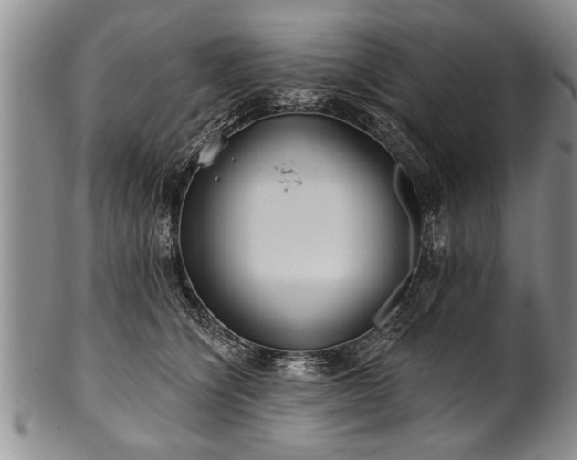 X0000100780564200806261632