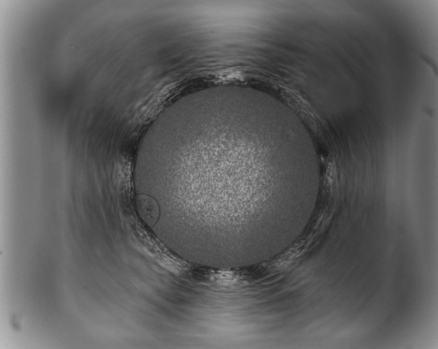 X0000100780565200806261632