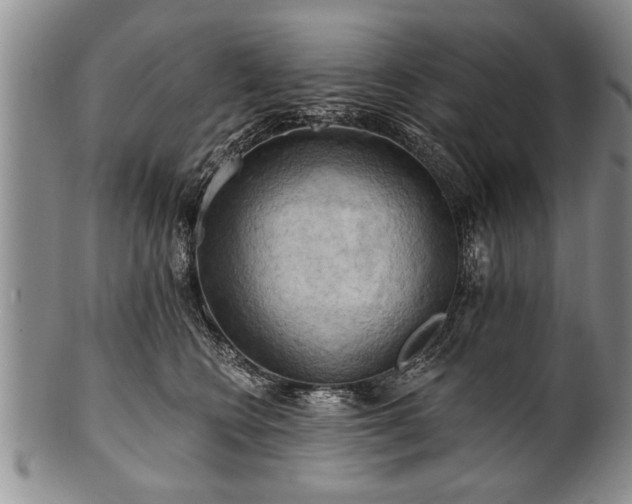 X0000100780566200806261632