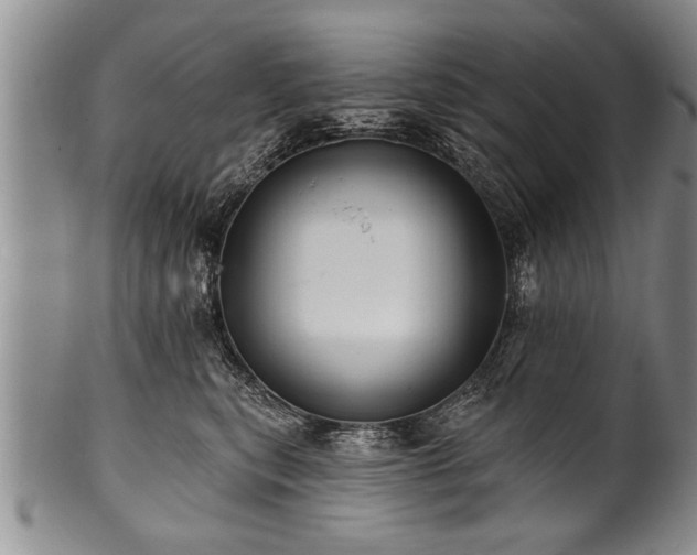 X0000100780567200806261632