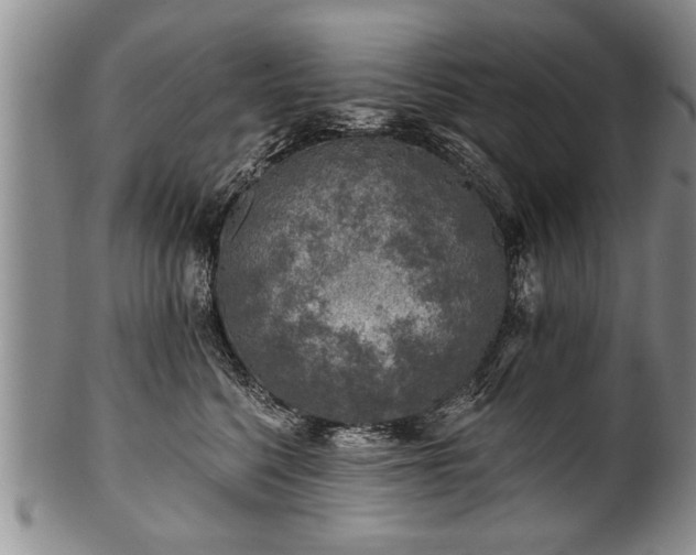 X0000100780568200806261632