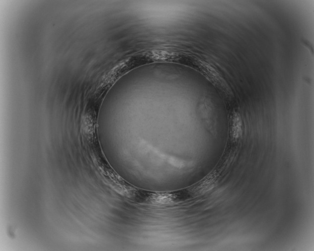 X0000100780569200806261632