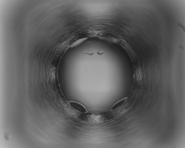 X0000100780570200806261632