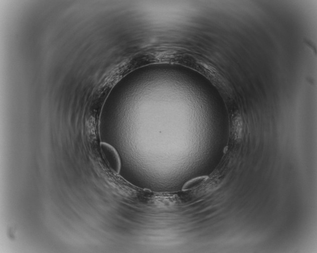 X0000100780571200806261632