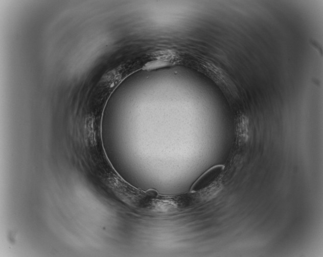 X0000100780572200806261632