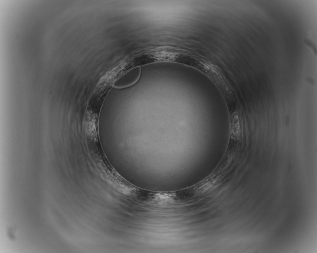 X0000100780573200806261632