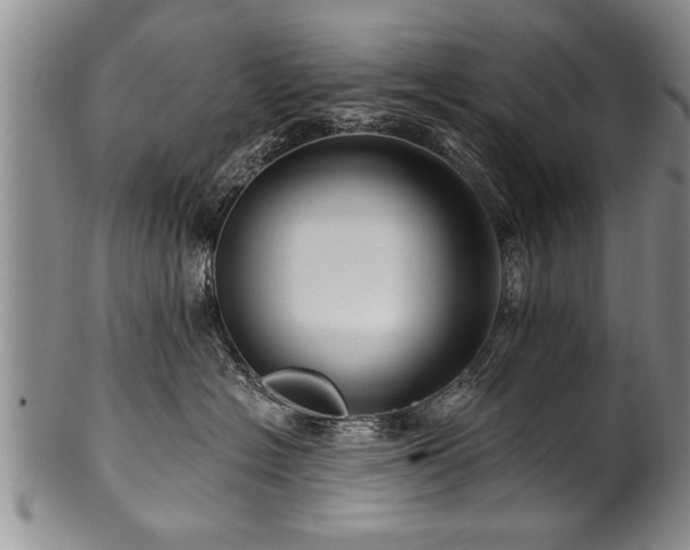 X0000100780574200806261632