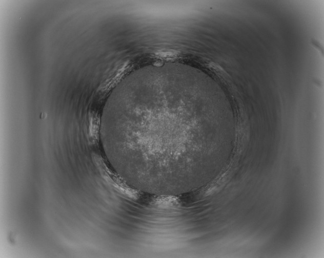 X0000100780576200806261632