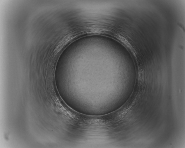 X0000100780577200806261631