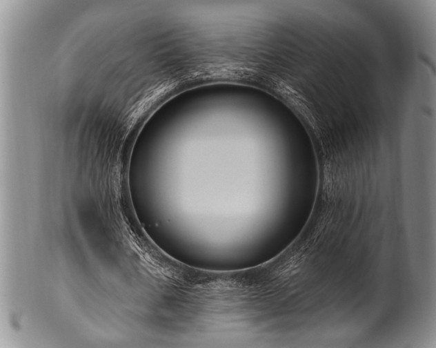 X0000100780578200806261631