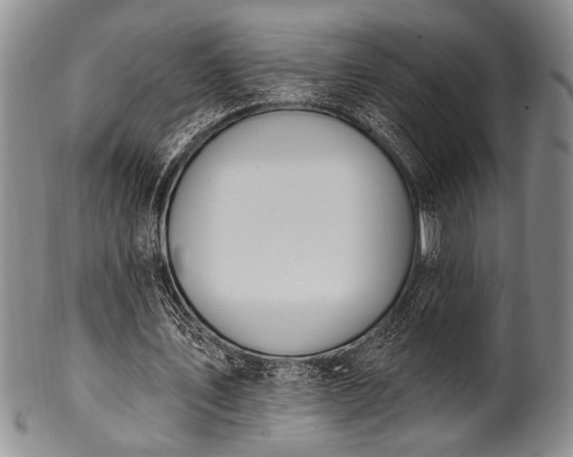 X0000100780579200806261631