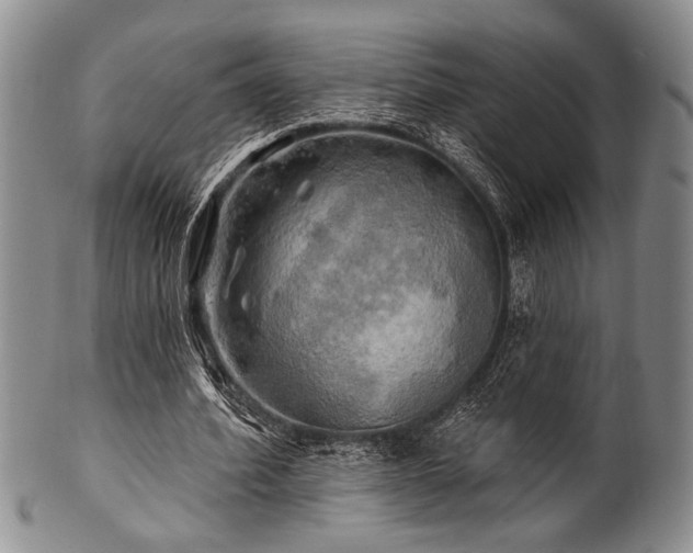 X0000100780580200806261631