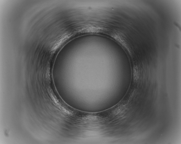 X0000100780581200806261631