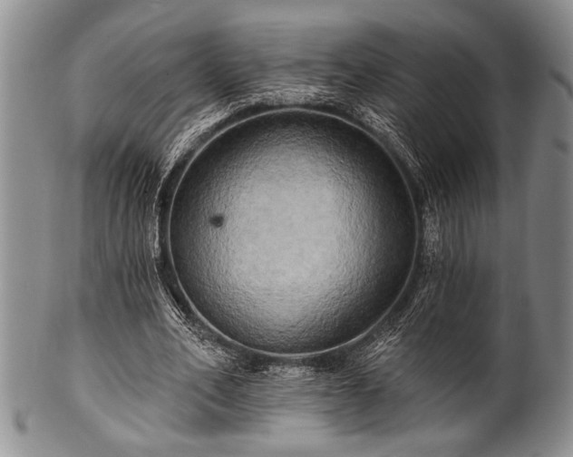 X0000100780582200806261631