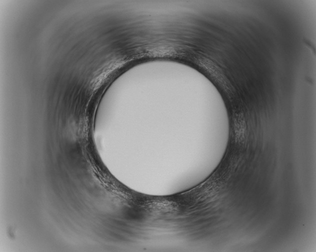 X0000100780583200806261631