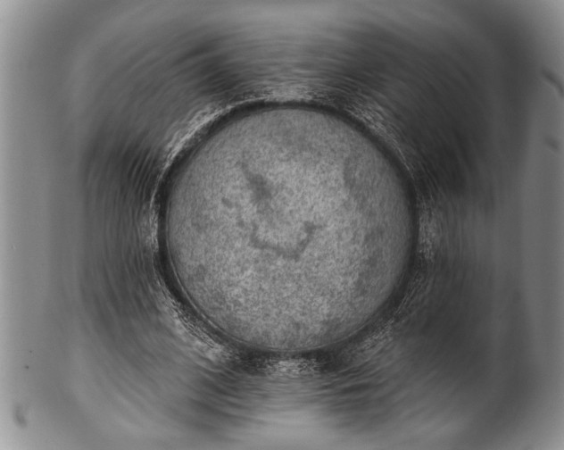 X0000100780584200806261631