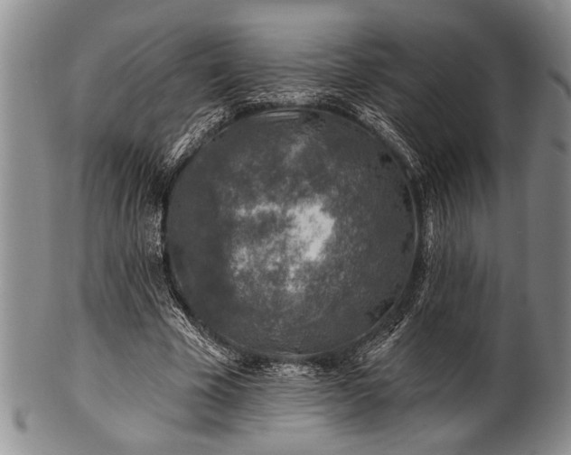 X0000100780585200806261631