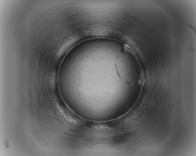 X0000100780586200806261631