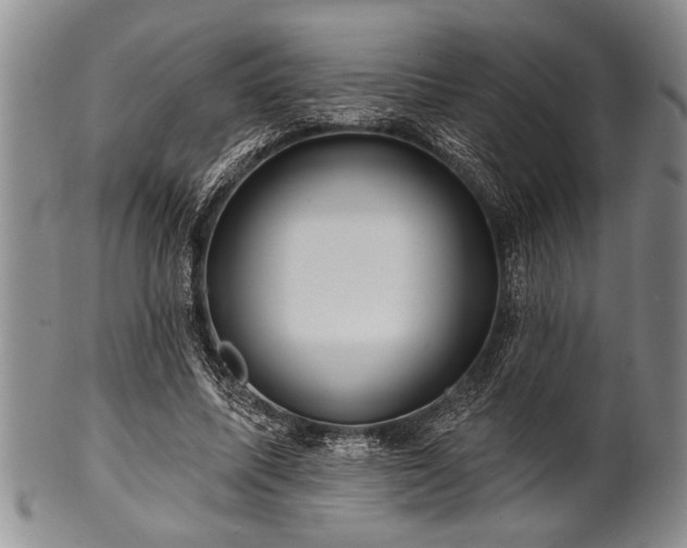 X0000100780587200806261631