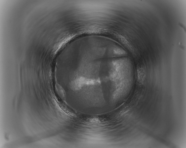 X0000100780588200806261631