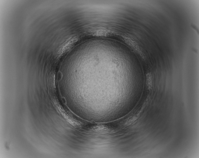 X0000100780589200806261631