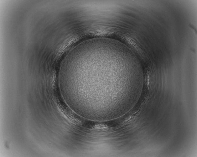 X0000100780591200806261631